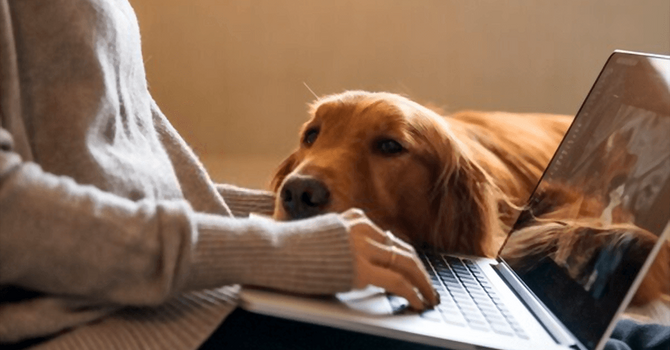 Spiritual Life Coaching