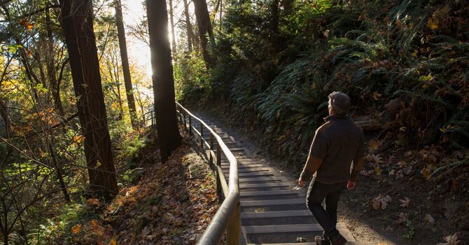 20 Minute Free Introductory Meeting