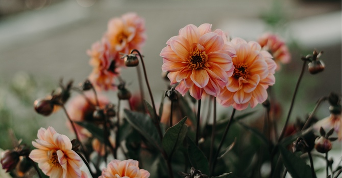 When the World Feels Like Too Much