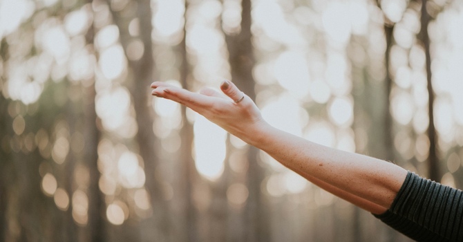 When the World Feels Like Too Much