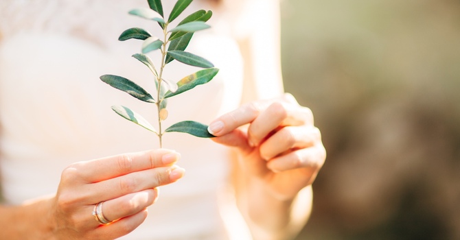 Spiritual Life Coaching