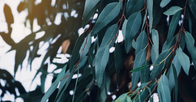 20 Minute Free Introductory Meeting